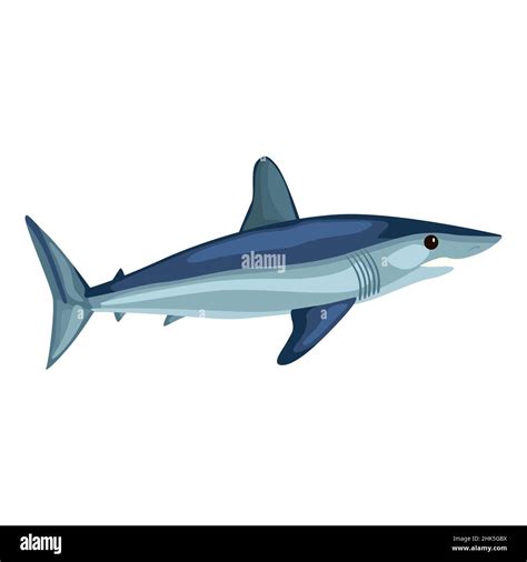 Mako shark isolated on white background. Cartoon character of ocean for children. Simple print ...