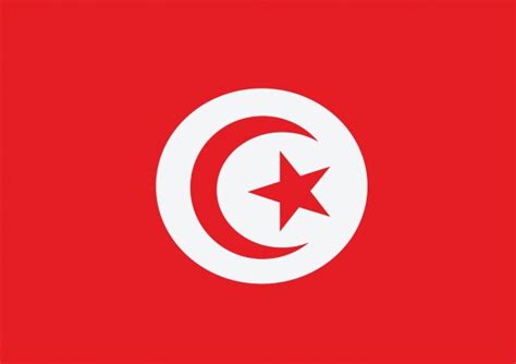 Tunisia Flag And Heart Icon Free Stock Photo - Public Domain Pictures