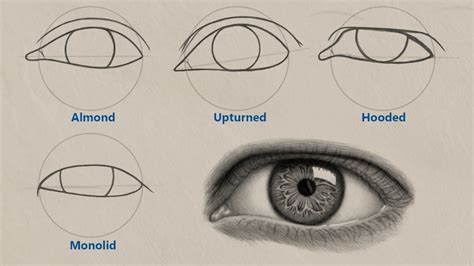 how to draw monolid eyes - pandabearartdrawing