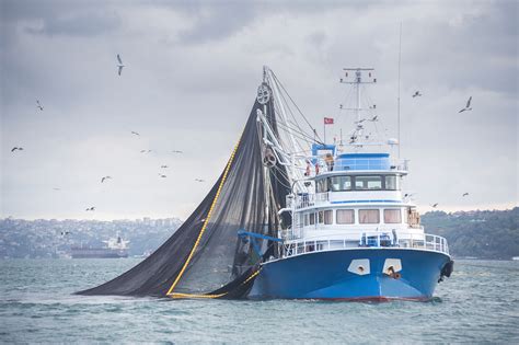 Overfishing threatens food security