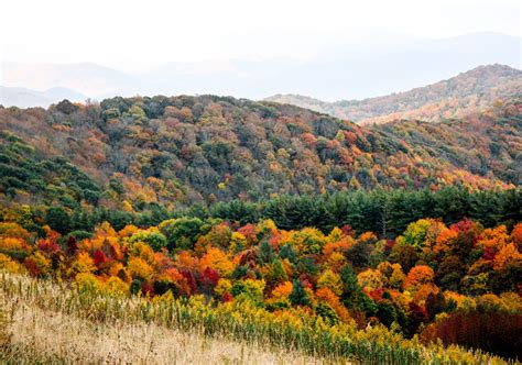 2024 ULTIMATE Smoky Mountain Fall Foliage Map + Guide