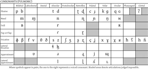 Spanish Consonants Chart