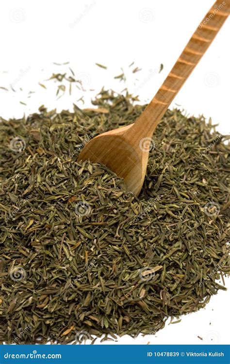 Spice of thyme isolated stock image. Image of condiment - 10478839