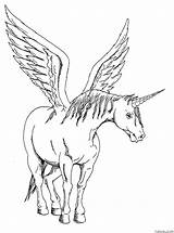 Unicorn With Wings Coloring Page sketch template