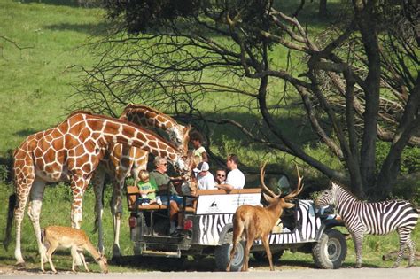 Fossil Rim Wildlife Center | Glen Rose, TX 76043