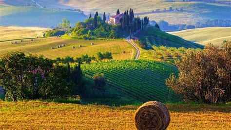 Brown hay near tree, farm, haystacks, landscape, terraced field HD wallpaper | Wallpaper Flare