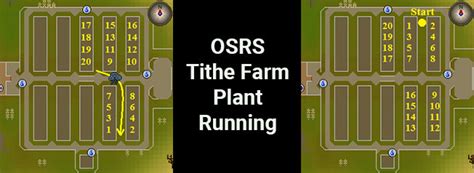 OSRS Farming Training Method - Tithe Farm Minigame