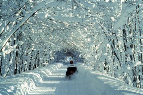 Why Is Snowmobiling In Michigan The Most Popular Winter Activity ...