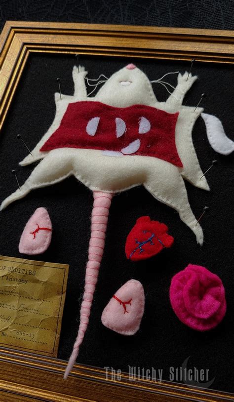 Mus Musculus Felt Anatomy Biology Gothic Creepy Cute - Etsy UK