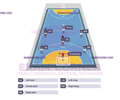 Handball player positions and playing area – Exam-Corner