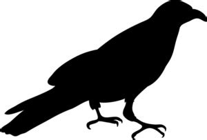 Free Raven Outline Cliparts, Download Free Raven Outline Cliparts png ...