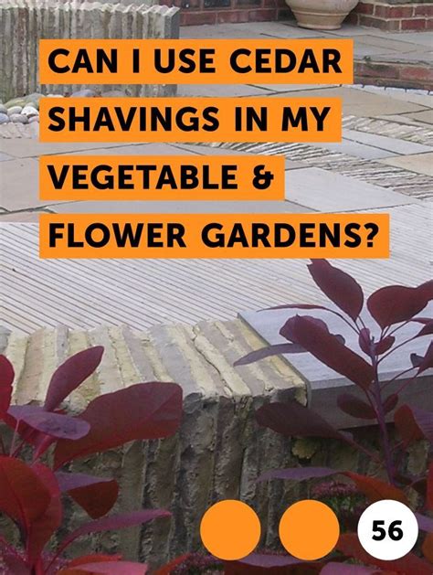 Learn Can I Use Cedar Shavings in My Vegetable & Flower Gardens? | How ...