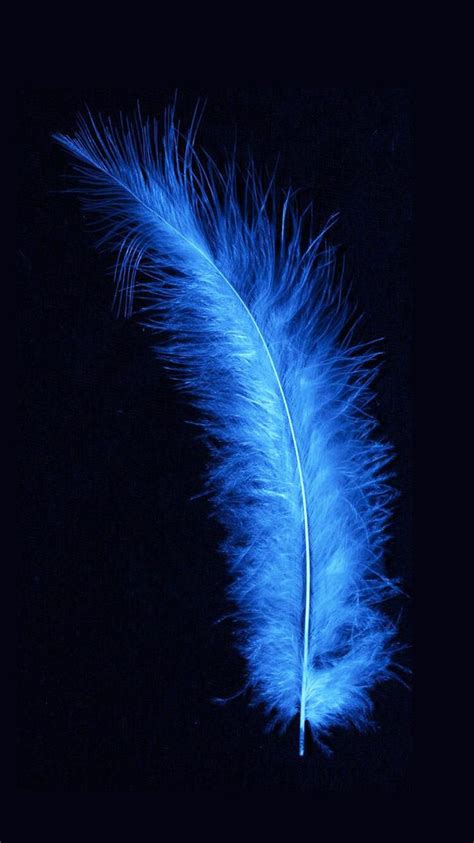 Glowing blue feather in black background!! [Downloaded from 10000+ Wallpapers. http://itunes.a ...