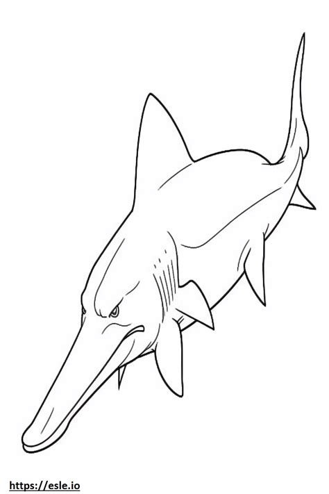 Hammerhead Shark full body coloring page