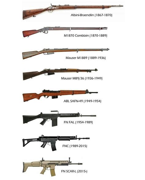 √ Us Army Standard Issue Rifle 2018 - Homeland