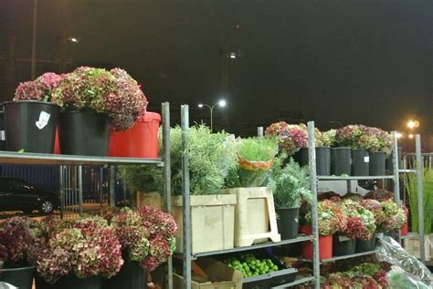 EssWorks: New Covent Garden Flower Market