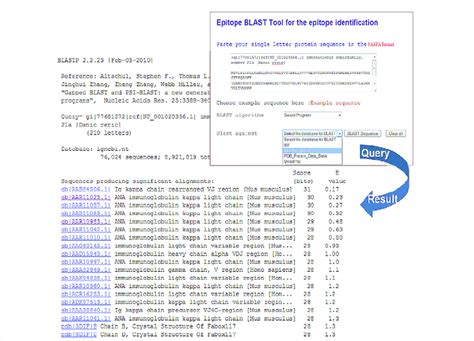 Snapshot of the EpiBLAST tool. Input page and result page for the ...