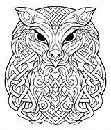 Free Coloring Pages Celtic sketch template