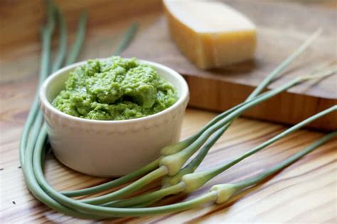 Garlic Scape Pesto Recipe • The Prairie Homestead