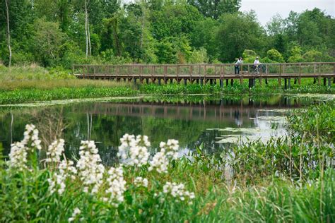 Alewife Brook Reservation bridge Reserved, Bridge, Education, Bridge Pattern, Bridges, Onderwijs ...