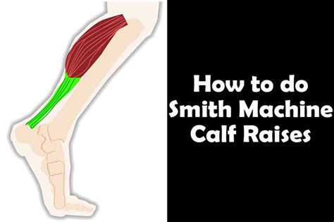 How to do Smith Machine Calf Raises | Muscles Worked | Benefits - Yes Strength