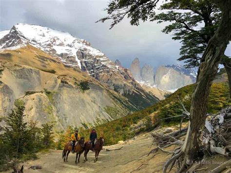 Easy and Moderate Day Hikes in Torres del Paine - Travel Notes & Beyond