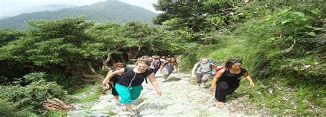 trekking-in-palampur.webp