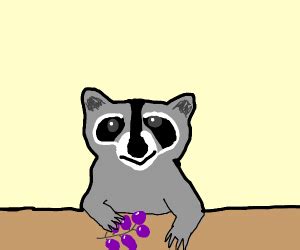 That one video of the raccoon eating grapes. - Drawception