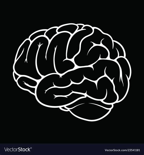 Human brain white outline on black background Vector Image