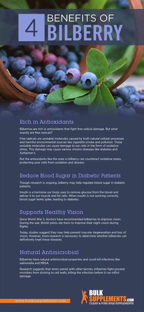 Bilberry Benefits, Side Effects and Dosage | BulkSupplements.com | Fruit benefits, Health ...