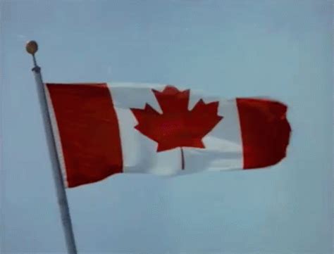 Canada Flag GIF - CanadaDay - Discover & Share GIFs