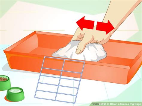 How to Clean a Guinea Pig Cage (with Pictures) - wikiHow