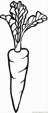 Coloring Pages Carrot 25 Natural World > Vegetables  free printable sketch template