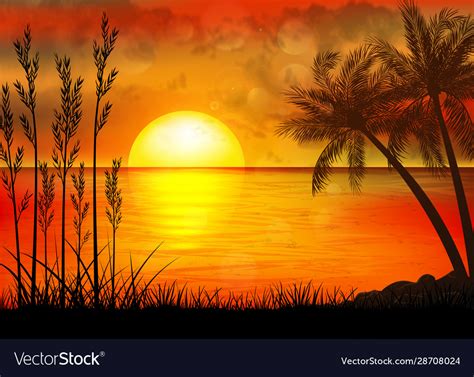 A tropical sunset with palm trees Royalty Free Vector Image