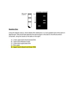 Lab Report 1 - Agarose Gel Electrophoresis - MOLECULAR BIOLOGY 1 RONI BROWN – 13539921 Lab ...