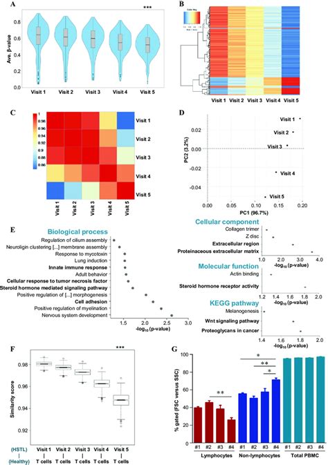 DNA methylation analysis of the γδ-HSTL patient during IFNα2c therapy.... | Download Scientific ...