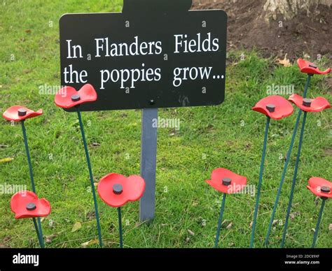 Flanders Fields High Resolution Stock Photography and Images - Alamy