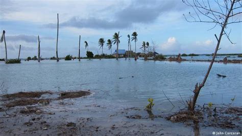 From Vanuatu law school to the Hague: the fight to recognise climate ...