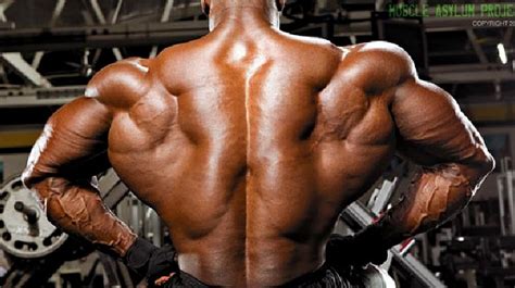 Deep Muscles of the Back - Erector Spinae • Bodybuilding Wizard