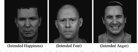 [PDF] Computerized measurement of facial expression of emotions in schizophrenia | Semantic Scholar