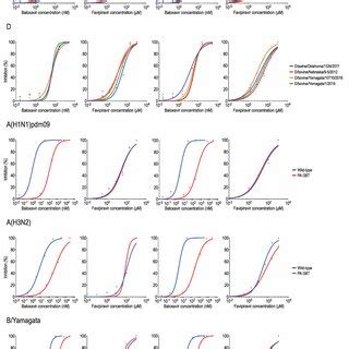 Antiviral activity of RNA polymerase inhibitors against influenza C and... | Download Scientific ...