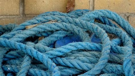 Pile Of Rope Free Stock Photo - Public Domain Pictures