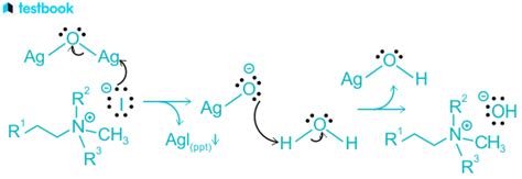 Hofmann Elimination: Know its Rule, Mechanism, Examples & Uses