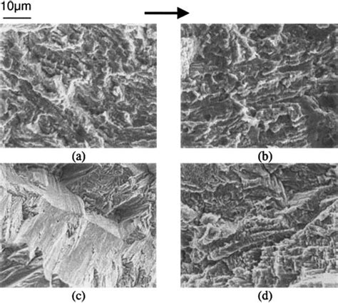 Fatigue fracture surfaces of (a) composite at , (b) composite at , (c)... | Download Scientific ...