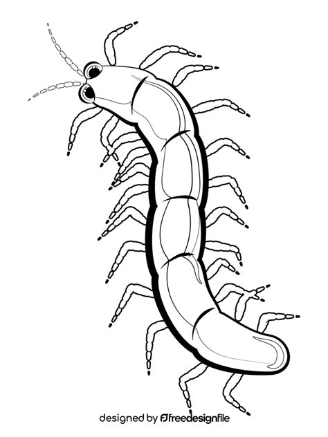 Centipede cartoon drawing black and white clipart free download