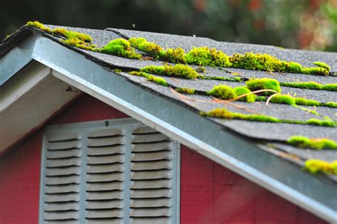 How to Remove Moss From Your Roof