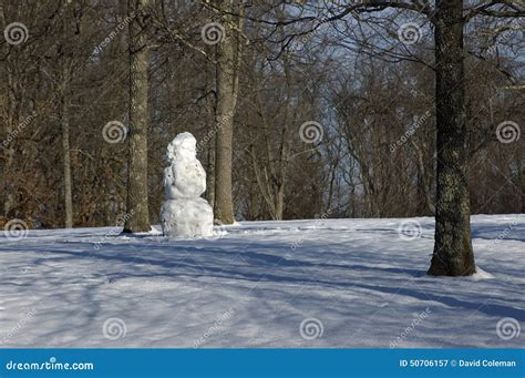 Snowman in park stock image. Image of snowman, cold, park - 50706157