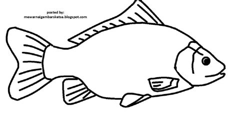 Sketsa Gambar Ikan Hitam Putih - Ikan Info