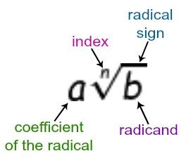 What is the number under the radical sign called? | Homework.Study.com