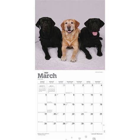 Calendar Lab Free Printable Calendars 2025 - Taffy Federica